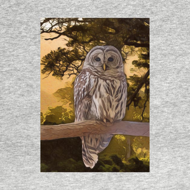 Tawny Owl Artwork by NikkiBear67